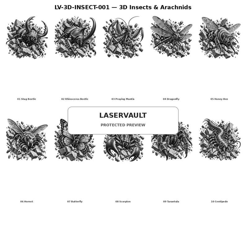May include: A collection of ten black and white illustrations labeled LV-3D-INSECT-001 3D Insects & Arachnids, featuring a stag beetle, rhinoceros beetle, praying mantis, dragonfly, honey bee, hornet, butterfly, scorpion, tarantula, and centipede.