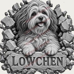 Pu&ograve; includere: Un'illustrazione grafica in bianco e nero di un cane Lowchen a pelo lungo che emerge da un muro di pietra rotto. Il cane ha un'espressione felice con la lingua di fuori. Sotto il cane, la parola LOWCHEN &egrave; incisa su una lastra di pietra.