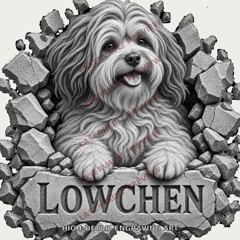 Pu&ograve; includere: Un'illustrazione grafica in bianco e nero di un cane Lowchen a pelo lungo che emerge da un muro di pietra rotto. Il cane ha un'espressione felice con la lingua di fuori. Sotto il cane, la parola LOWCHEN &egrave; incisa su una lastra di pietra.