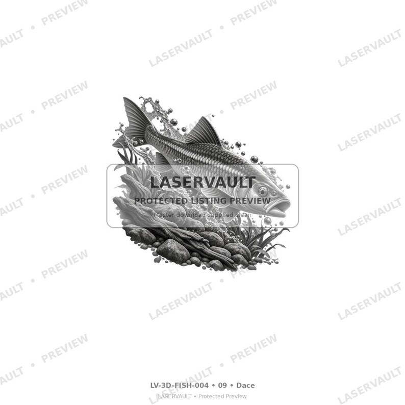 May include: A black and white graphic illustration of a dace fish swimming above a rocky riverbed with aquatic plants and water bubbles. The image features the text LASERVAULT PROTECTED LISTING PREVIEW and LV-3D-FISH-004 09 Dace.