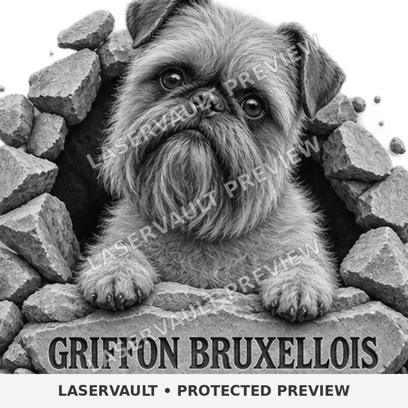 Op de afbeelding: Een zwart-wit illustratie van een Griffon Bruxellois die door een gat in een stenen muur kijkt. De hond heeft een ruige vacht en expressieve ogen. Onder de hond staat de tekst GRIFFON BRUXELLOIS gegraveerd in een groot stenen blok.