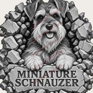 Op de afbeelding: Een zwart-witte grafische illustratie van een Dwergschnauzer die uit een gebarsten stenen muur tevoorschijn komt. De hond heeft een ruige vacht en een open bek. Onder de hond staat de tekst MINIATURE SCHNAUZER HIGH-DETAIL ENGRAVING ART.