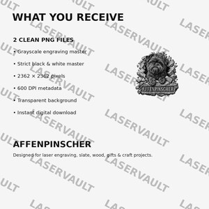 Puede incluir: Un conjunto de archivos gr&aacute;ficos digitales con una ilustraci&oacute;n de un perro Affenpinscher emergiendo de un marco de piedra con el texto AFFENPINSCHER. La imagen incluye texto que enumera 2 archivos PNG limpios, maestro de grabado en escala de grises, maestro en blanco y negro, 2362 x 2362 p&iacute;xeles, metadatos de 600 DPI, fondo transparente y descarga digital instant&aacute;nea.
