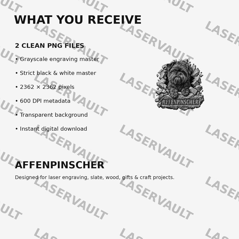 Puede incluir: Un conjunto de archivos gr&aacute;ficos digitales con una ilustraci&oacute;n de un perro Affenpinscher emergiendo de un marco de piedra con el texto AFFENPINSCHER. La imagen incluye texto que enumera 2 archivos PNG limpios, maestro de grabado en escala de grises, maestro en blanco y negro, 2362 x 2362 p&iacute;xeles, metadatos de 600 DPI, fondo transparente y descarga digital instant&aacute;nea.