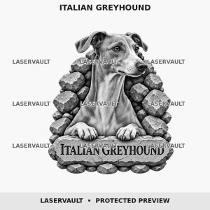 Op de afbeelding: Een zwart-witte grafische illustratie van een Italiaanse windhond die zijn voorpoten op een stenen richel laat rusten. De hond is omringd door een groep rotsen. De tekst "ITALIAN GREYHOUND" staat op de stenen richel en bovenaan.