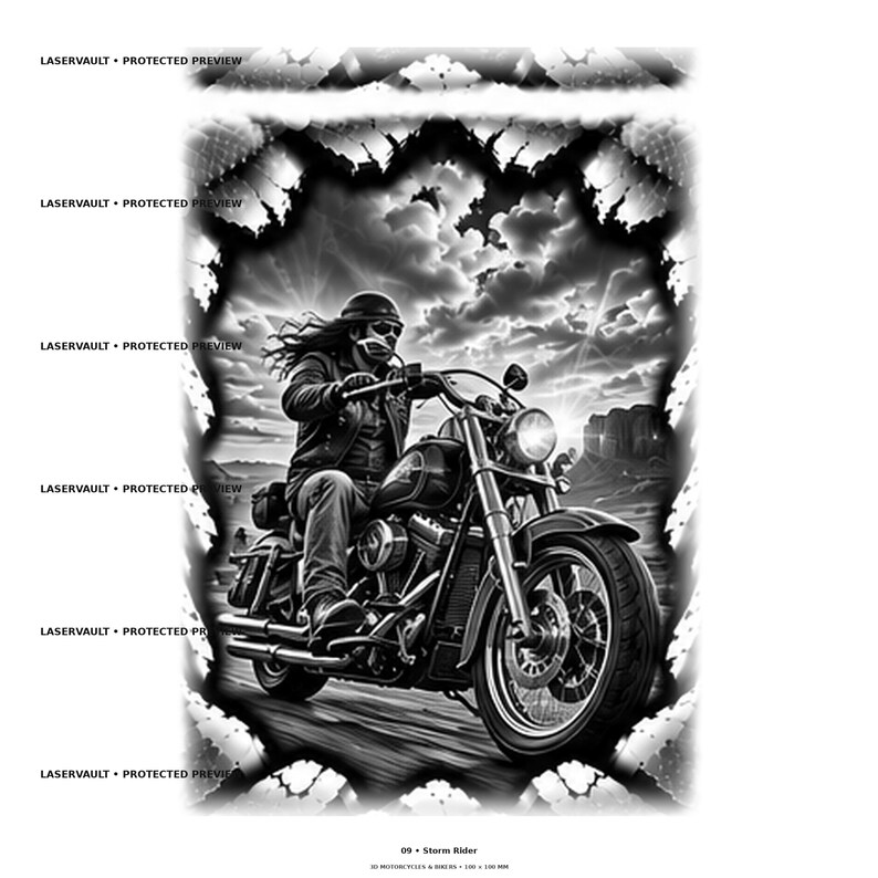 May include: A black and white graphic illustration titled 09 Storm Rider featuring a person riding a motorcycle through a desert landscape under a cloudy sky. The image is framed by a jagged border and includes the text LASERVAULT PROTECTED PREVIEW.