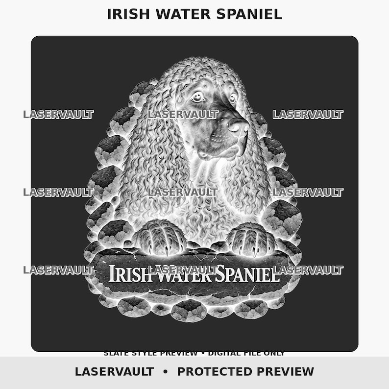 May include: A black and white graphic design featuring an Irish Water Spaniel with curly fur, resting its paws on a stone-textured plaque labeled IRISH WATER SPANIEL. The image includes the repeated watermark text LASERVAULT.