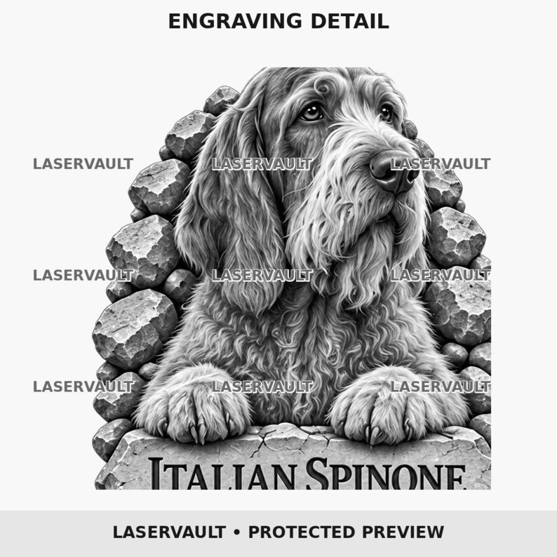 May include: A black and white graphic design featuring an Italian Spinone dog resting its paws on a stone ledge. The text ENGRAVING DETAIL, LASERVAULT, and ITALIAN SPINONE are visible. The dog is framed by a background of stacked rocks.