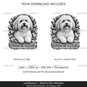 May include: A digital graphic featuring a Coton de Tulear dog illustration emerging from a stone-like frame. The text COTON DE TULEAR is printed on a stone plaque at the base. The image includes two versions, one in grayscale and one in black and white.