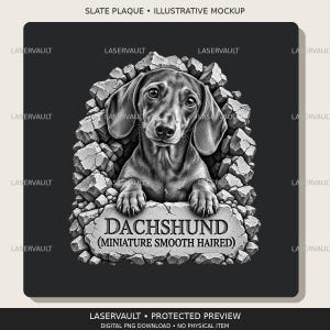 Op de afbeelding: Een zwart-wit grafisch ontwerp met een realistische illustratie van een teckelpuppy die uit een gebarsten stenen muur tevoorschijn komt. De puppy rust zijn poten op een stenen plaquette met het opschrift DACHSHUND (MINIATURE SMOOTH HAIRED).