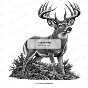 K&ouml;nnte beinhalten: Eine schwarz-wei&szlig; Illustration eines Wei&szlig;wedelhirschs, der auf einem Felsvorsprung mit Blattwerk steht. Der Hirsch hat ein gro&szlig;es, detailliertes Geweih und ist im Profil dargestellt. Der Text LASERVAULT PROTECTED PREVIEW erscheint in der Mitte.