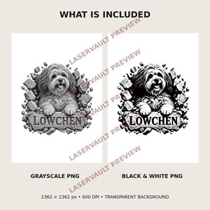 Pu&ograve; includere: Due design grafici digitali che mostrano un cane Lowchen che emerge da un muro di pietra crepato. Una versione &egrave; in scala di grigi e l'altra in bianco e nero ad alto contrasto. Entrambi includono il testo LOWCHEN su una targa di pietra.