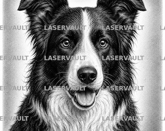 Op de afbeelding: Een zwart-wit potloodtekening van een Border Collie met een witte bles op het gezicht en de borst, alerte oren en een open bek. De afbeelding bevat de herhaalde tekst LASERVAULT die over het gehele portret is geplaatst.