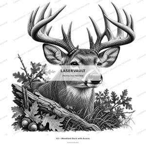 K&ouml;nnte beinhalten: Eine schwarz-wei&szlig;e Illustration eines Hirsches mit gro&szlig;em Geweih, der hinter einem umgest&uuml;rzten Baumstamm steht. Die Szene zeigt Eichenbl&auml;tter und Eicheln im Vordergrund. Der Text LASERVAULT PROTECTED PREVIEW ist zentriert, und 03 Woodland Buck with Acorns steht darunter.