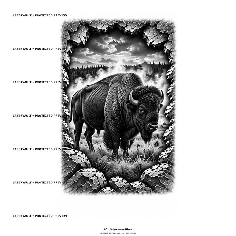 May include: A black and white graphic print titled 07 Yellowstone Bison, 200 x 200 mm. The image features a bison standing in a grassy field, framed by a textured, stone-like border. The text LASERVAULT PROTECTED PREVIEW appears repeatedly on the left.