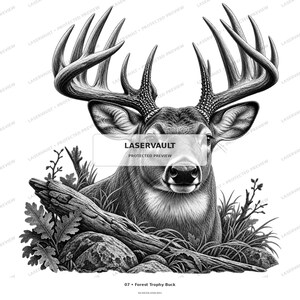 K&ouml;nnte beinhalten: Eine schwarz-wei&szlig;e grafische Illustration eines Hirsches mit gro&szlig;em Geweih, der hinter einem umgest&uuml;rzten Baumstamm und Felsen ruht. Das Bild enth&auml;lt den Text LASERVAULT PROTECTED PREVIEW in der Mitte und 07 Forest Trophy Buck unten.