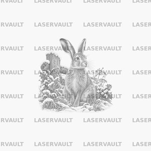 May include: A detailed graphite pencil illustration of a hare sitting in a snowy landscape. The hare is positioned in front of a wooden fence post, surrounded by winter foliage, holly leaves, and berries, all lightly dusted with fresh snow.