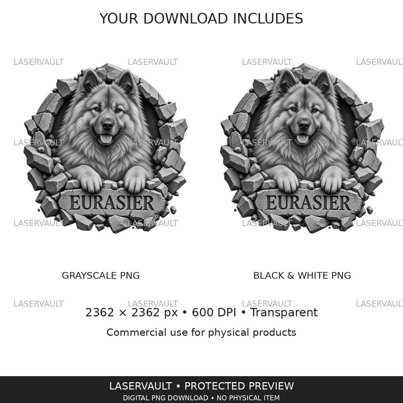 May include: A digital graphic featuring two identical greyscale illustrations of a fluffy Eurasier dog emerging from a cracked stone wall. Below the dog, a stone plaque displays the text EURASIER. The image includes text labels for file types.