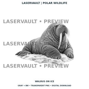 Op de afbeelding: Een zwart-witte digitale illustratie van een walrus op ijs, met de tekst LASERVAULT | POLAR WILDLIFE, LASERVAULT &bull; PREVIEW en WALRUS ON ICE, GRAY + BW &bull; TRANSPARENT PNG &bull; DIGITAL DOWNLOAD.