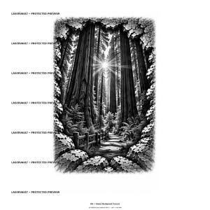 May include: A black and white graphic print titled 08 Giant Redwood Forest featuring towering redwood trees, a sunburst effect, a wooden fence, and a path, framed by a textured, stone-like border. The text LASERVAULT PROTECTED PREVIEW appears.