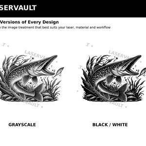 Puede incluir: Una pantalla gr&aacute;fica digital titulada LASERVAULT que muestra dos versiones de una ilustraci&oacute;n de un lucio. La versi&oacute;n de la izquierda est&aacute; etiquetada como GRAYSCALE y la de la derecha como BLACK / WHITE, ambas con el pez nadando entre plantas.