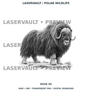Op de afbeelding: Een zwart-witte digitale illustratie van een muskusos met lange, ruige vacht en gekromde hoorns. De afbeelding bevat de tekst LASERVAULT | POLAR WILDLIFE, LASERVAULT &bull; PREVIEW en MUSK OX GRAY + BW &bull; TRANSPARENT PNG &bull; DIGITAL DOWNLOAD.