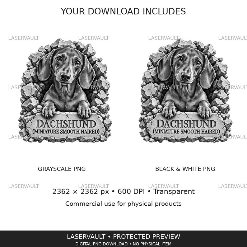 Op de afbeelding: Een digitale afbeelding met twee identieke illustraties van een teckelpuppy die door een gebarsten stenen muur kijkt. Onder de puppy staat op een stenen plaquette DACHSHUND (MINIATURE SMOOTH HAIRED). De afbeelding bevat tekstlabels voor bestandstypen.