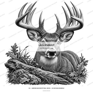 K&ouml;nnte beinhalten: Eine schwarz-wei&szlig;e Illustration eines Wei&szlig;wedelhirschs mit gro&szlig;em Geweih, der hinter einem strukturierten Baumstamm und Felsen ruht, umgeben von Eichenbl&auml;ttern und Gras. Der Text LASERVAULT PROTECTED PREVIEW ist &uuml;ber dem Gesicht des Hirsches zentriert.
