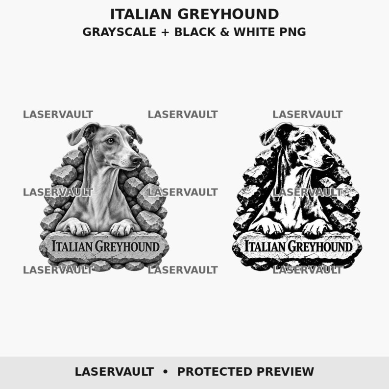 Op de afbeelding: Twee digitale illustraties van een Italiaanse windhond die uit een stenen boog komt. E&eacute;n versie is in grijstinten, de andere in contrastrijk zwart-wit. Beide tonen de tekst ITALIAN GREYHOUND op een stenen plaat aan de onderkant.