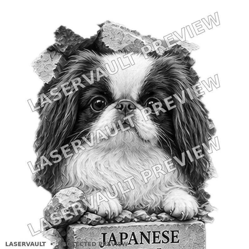 May include: A black and white illustration of a Japanese Chin dog emerging from a cracked stone wall. The dog has long fur, large dark eyes, and a white blaze on its face. Below the dog is a stone block with the text JAPANESE.