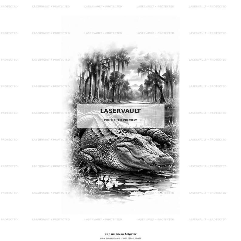 Op de afbeelding: Een zwart-witillustratie van een Amerikaanse alligator die rust in een moerassige omgeving met bomen en mos. De afbeelding bevat de tekst LASERVAULT PROTECTED PREVIEW in het midden en 01 American Alligator 100 x 100 mm slate onderaan.