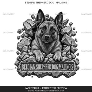 Puede incluir: Una ilustración gráfica en blanco y negro de un perro pastor belga malinois emergiendo de un muro de piedra agrietado. El perro está centrado con sus patas descansando sobre una placa de piedra que dice BELGIAN SHEPHERD DOG MALINOIS.