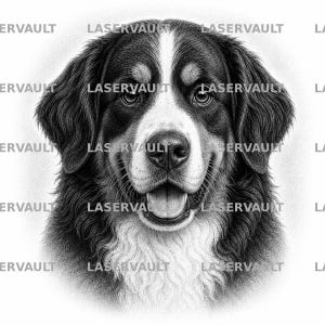 Puede incluir: Una ilustración a lápiz en blanco y negro de la cabeza de un perro de montaña de Berna, con una marca blanca distintiva en la frente, orejas oscuras y un pelaje texturizado. El perro tiene la boca abierta, la lengua visible y la palabra LASERVAULT repetida.