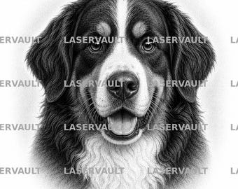Op de afbeelding: Een zwart-wit potloodillustratie van de kop van een Berner Sennenhond, met een opvallende witte bles op het voorhoofd, donkere oren en een textuurrijke vacht. De hond heeft een open bek, een zichtbare tong en het woord LASERVAULT herhaald.