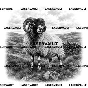 Pu&ograve; includere: Una stampa grafica in bianco e nero raffigurante un ariete con grandi corna ricurve in piedi in un paesaggio collinare con un muro di pietra. La parola LASERVAULT &egrave; ripetuta pi&ugrave; volte sull'immagine in uno schema a griglia.