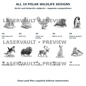 Op de afbeelding: Een verzameling van 10 zwart-wit ontwerpen van pooldieren met het label ALL 10 POLAR WILDLIFE DESIGNS. De afbeeldingen bevatten een ijsbeer met jong, poolvos, sneeuwuil, walrus, pingu&iuml;n, orka, muskusos, rendier, poolhaas en zeehond.