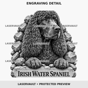 May include: A black and white graphic illustration of an Irish Water Spaniel with curly fur, framed by a stone border. The text reads ENGRAVING DETAIL, LASERVAULT, IRISH WATER SPANIEL, and LASERVAULT &bull; PROTECTED PREVIEW. The dog rests its paws on a stone.