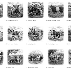 Puede incluir: Una colección de quince ilustraciones en blanco y negro de varias razas de ganado en entornos rurales, numeradas del 01 al 15. Las imágenes muestran vacas Highland, Belted Galloway, lecheras, tipo Jersey, tipo Hereford, tipo Charolais y Longhorn.
