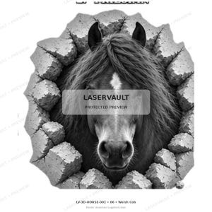 May include: A black and white graphic illustration of a horse head emerging from a hole in a stone wall. The horse has a prominent white star marking on its forehead and a thick, flowing mane. The surrounding stone wall appears fractured and broken.