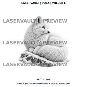 Op de afbeelding: Een zwart-witte digitale illustratie van een poolvos die op een met sneeuw bedekte rots rust. De afbeelding bevat de tekst LASERVAULT | POLAR WILDLIFE bovenaan en ARCTIC FOX GRAY + BW &bull; TRANSPARENT PNG &bull; DIGITAL DOWNLOAD onderaan.