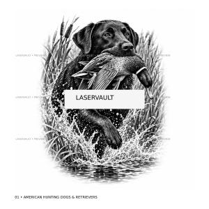 Puede incluir: Una ilustración en blanco y negro de un Labrador retriever llevando un pato en la boca mientras camina por el agua entre juncos altos. La imagen presenta una superposición rectangular blanca con el texto negro LASERVAULT centrado.