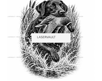 Op de afbeelding: Een zwart-witillustratie van een Labrador retriever die een eend in zijn bek draagt terwijl hij door water met hoog riet waadt. De afbeelding bevat een witte rechthoekige overlay met de zwarte tekst LASERVAULT in het midden.