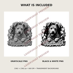 May include: A digital graphic featuring a Hungarian Pumi dog with curly fur peering through a stone wall opening. The dog rests its paws on a stone ledge labeled HUNGARIAN PUMI. The set includes a grayscale PNG and a black and white PNG version.