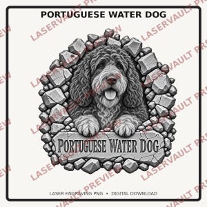 Op de afbeelding: Een zwart-witte grafische illustratie van een Portugese waterhond met krullend haar, die door een gat in een stenen muur kijkt. Onder de hond staat op een stenen plaquette de tekst PORTUGUESE WATER DOG in een schreefloos lettertype.