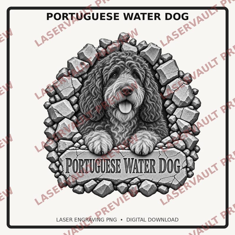 Op de afbeelding: Een zwart-witte grafische illustratie van een Portugese waterhond met krullend haar, die door een gat in een stenen muur kijkt. Onder de hond staat op een stenen plaquette de tekst PORTUGUESE WATER DOG in een schreefloos lettertype.