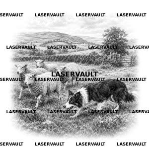 Puede incluir: Una ilustración en blanco y negro que muestra a un border collie pastoreando un grupo de ovejas en un campo de hierba con colinas y un muro de piedra al fondo. La palabra LASERVAULT se repite varias veces sobre la superficie de la imagen.