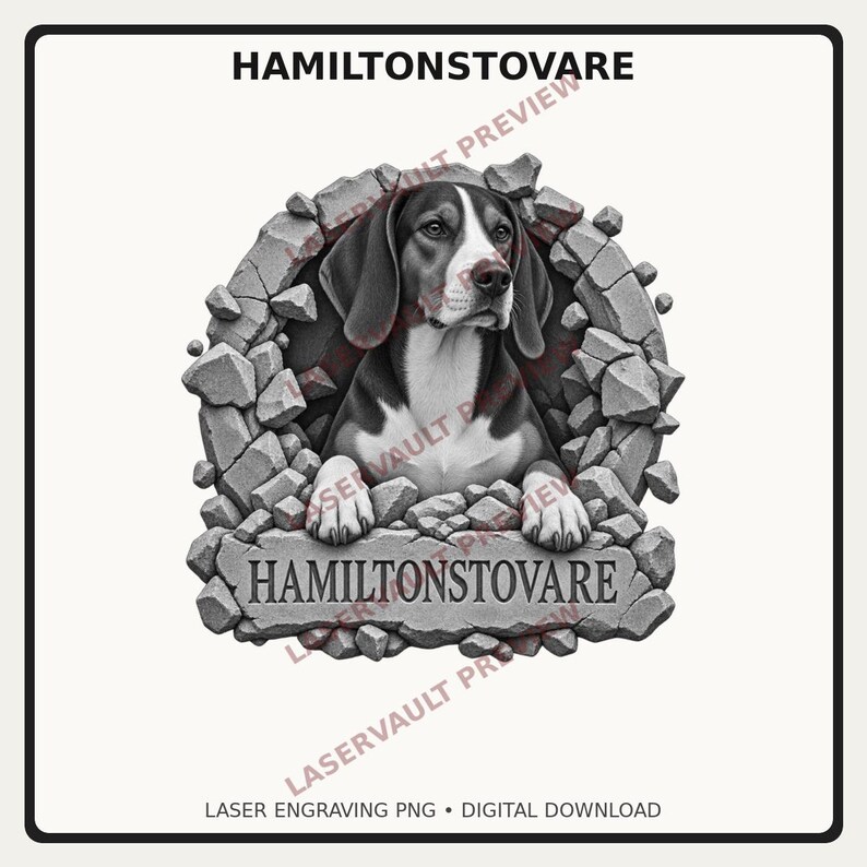 May include: A black, white, and gray graphic illustration of a Hamiltonstovare dog peering through a circular hole in a stone wall. The dog has floppy ears and rests its front paws on a stone ledge engraved with the text HAMILTONSTOVARE.