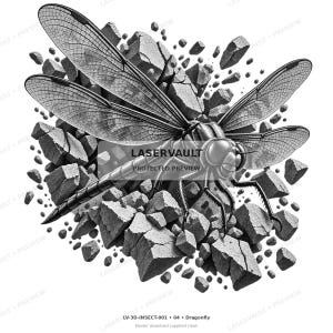 May include: A black and white illustration of a dragonfly with detailed, translucent wings positioned over a cluster of fragmented, jagged stone pieces. The text LASERVAULT PROTECTED PREVIEW is centered over the insect, with LV-3D-INSECT-001 at the bottom.