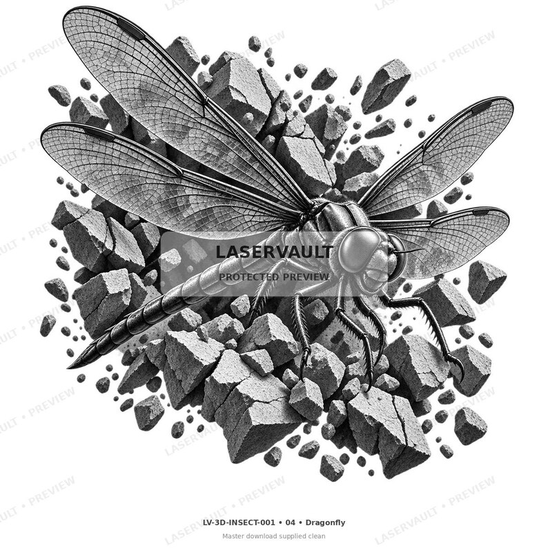 May include: A black and white illustration of a dragonfly with detailed, translucent wings positioned over a cluster of fragmented, jagged stone pieces. The text LASERVAULT PROTECTED PREVIEW is centered over the insect, with LV-3D-INSECT-001 at the bottom.
