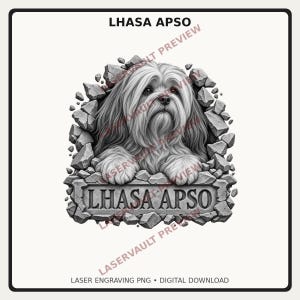 Op de afbeelding: Een zwart-witte grafische illustratie van een Lhasa Apso hond die uit een gebarsten stenen muur tevoorschijn komt. De hond heeft lang, vloeiend haar en bevindt zich boven een stenen plaquette met de tekst LHASA APSO in een vetgedrukt schreeflettertype.